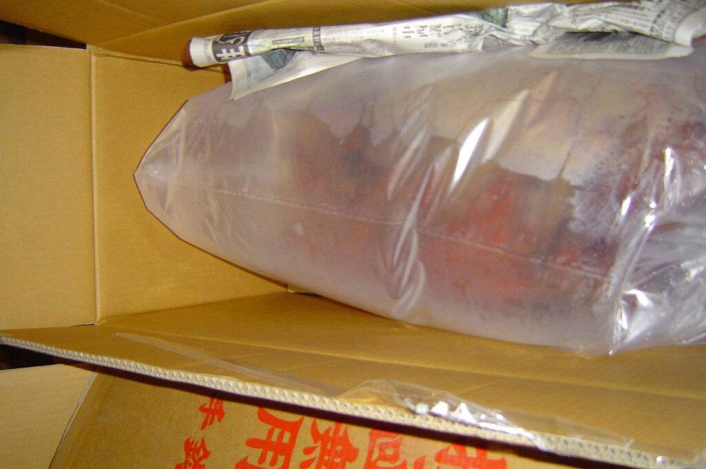 plastiek-zak-met-koi