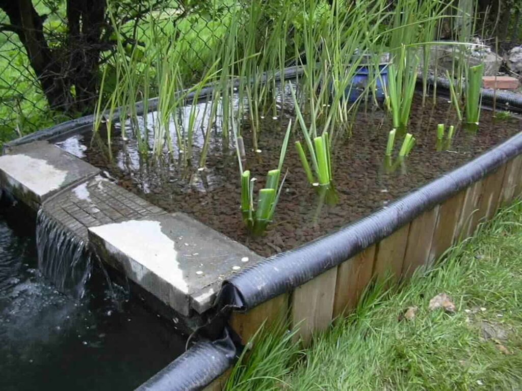 apartstaand-moerasfilter