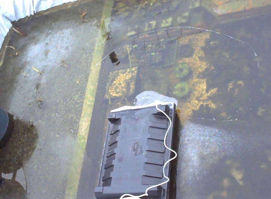 geintegreerde-moeraszone