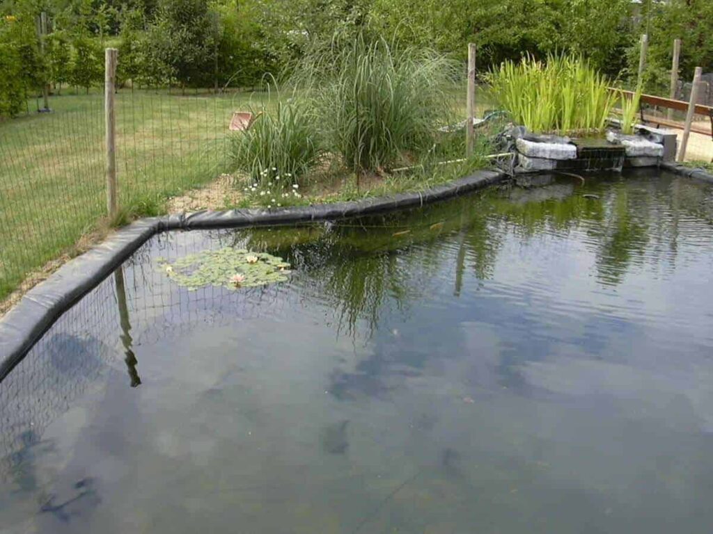 moerasfilter-zwemvijver