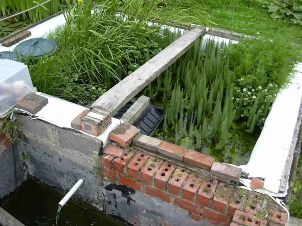 plantenfilter-volle-groei