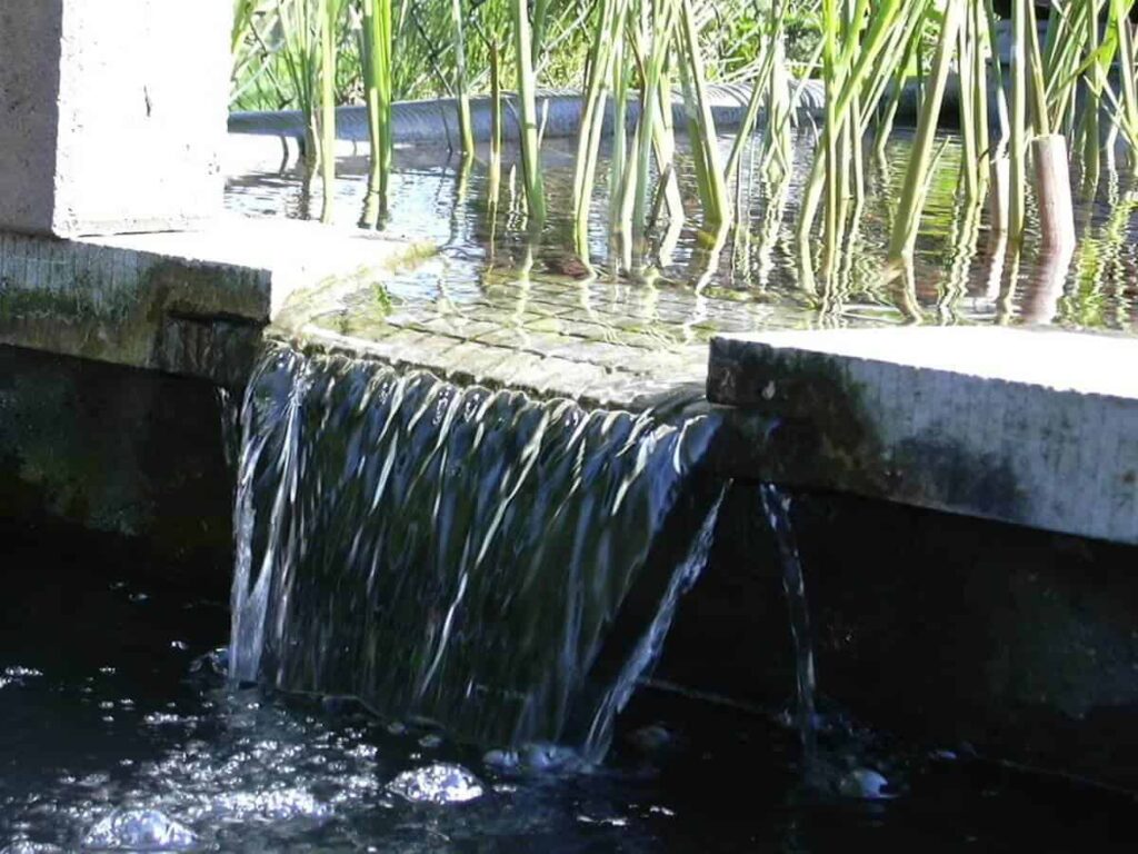 watergordijn-moerasfilter-vijver