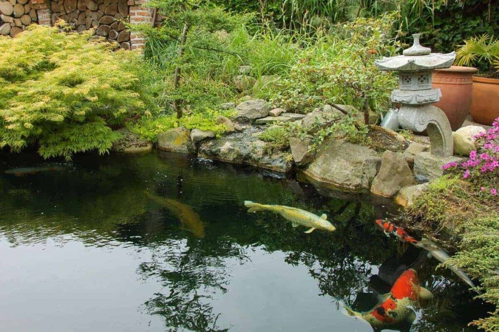 vijverrand-klassiek-keien-2