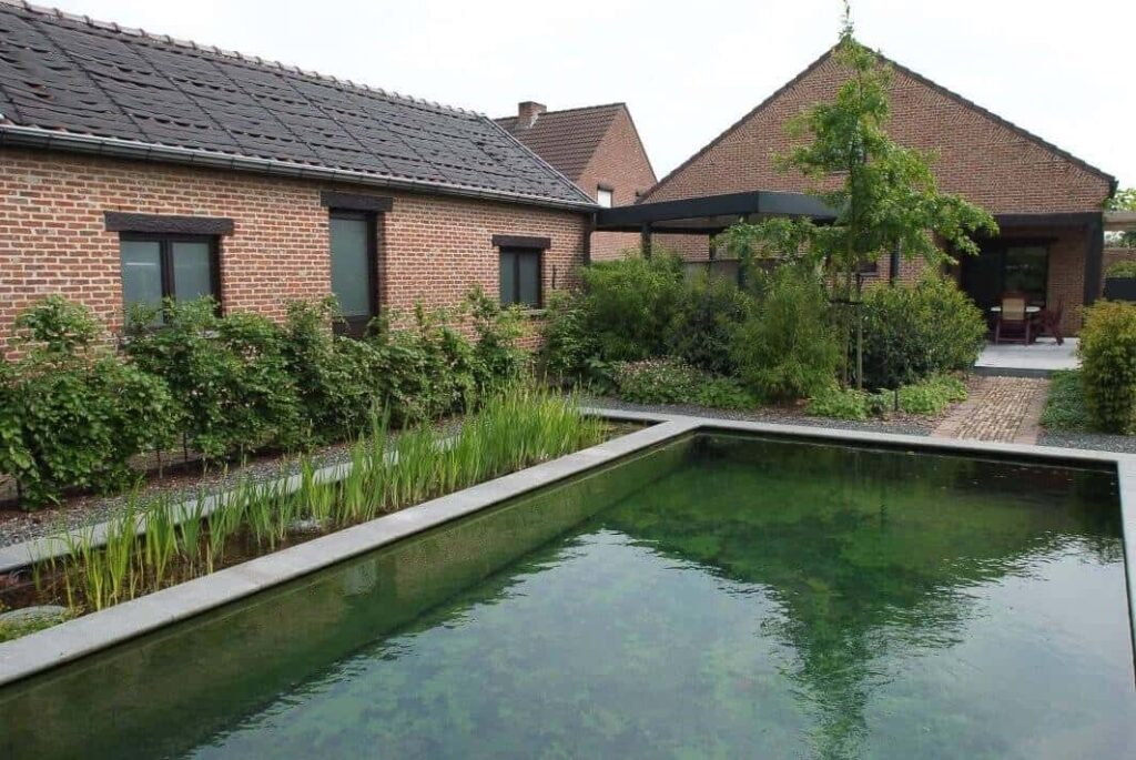 Strakke zwemvijver met zijdelingse moeraszone