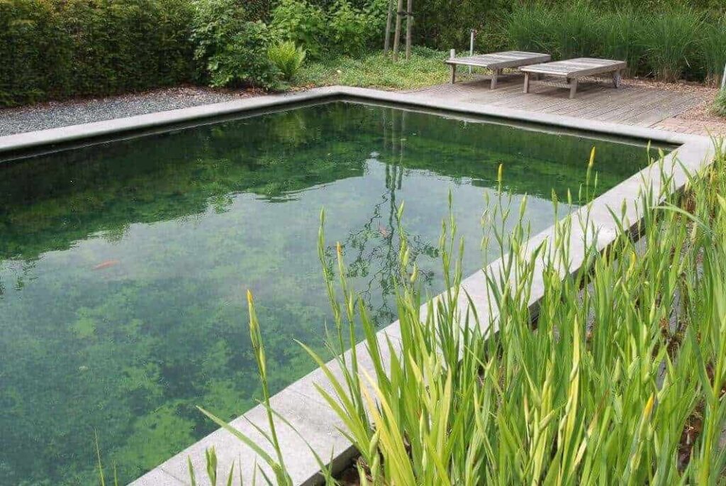 Strakke zwemvijver met moeraszone aan één zijde en plaats om te relaxen